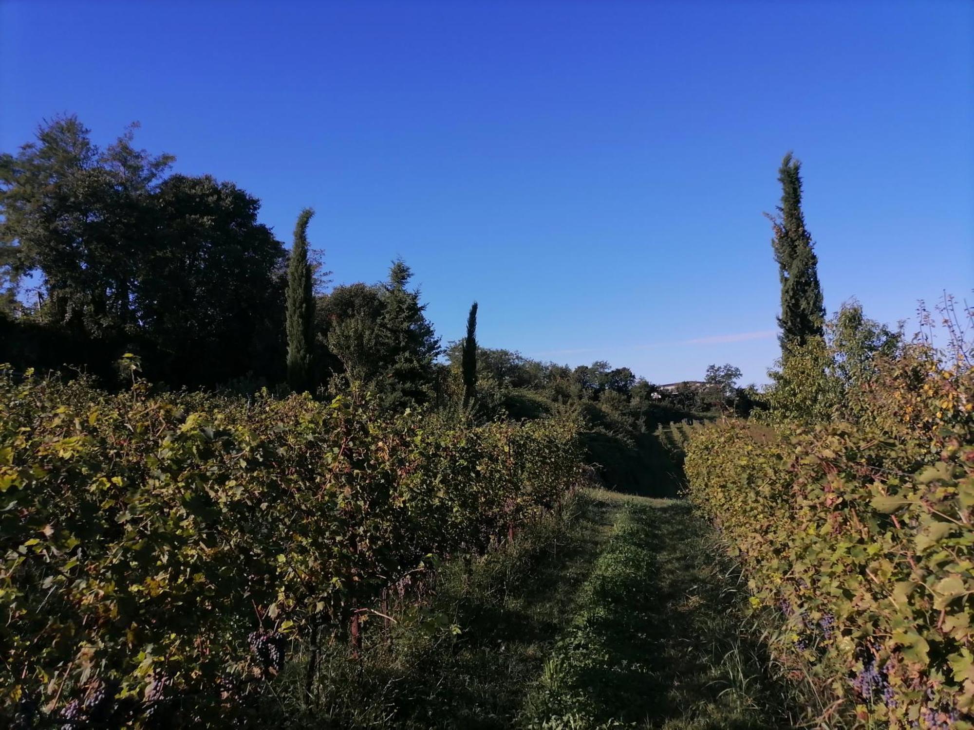 Relais Ca' Morenica Valeggio sul Mincio Exteriér fotografie
