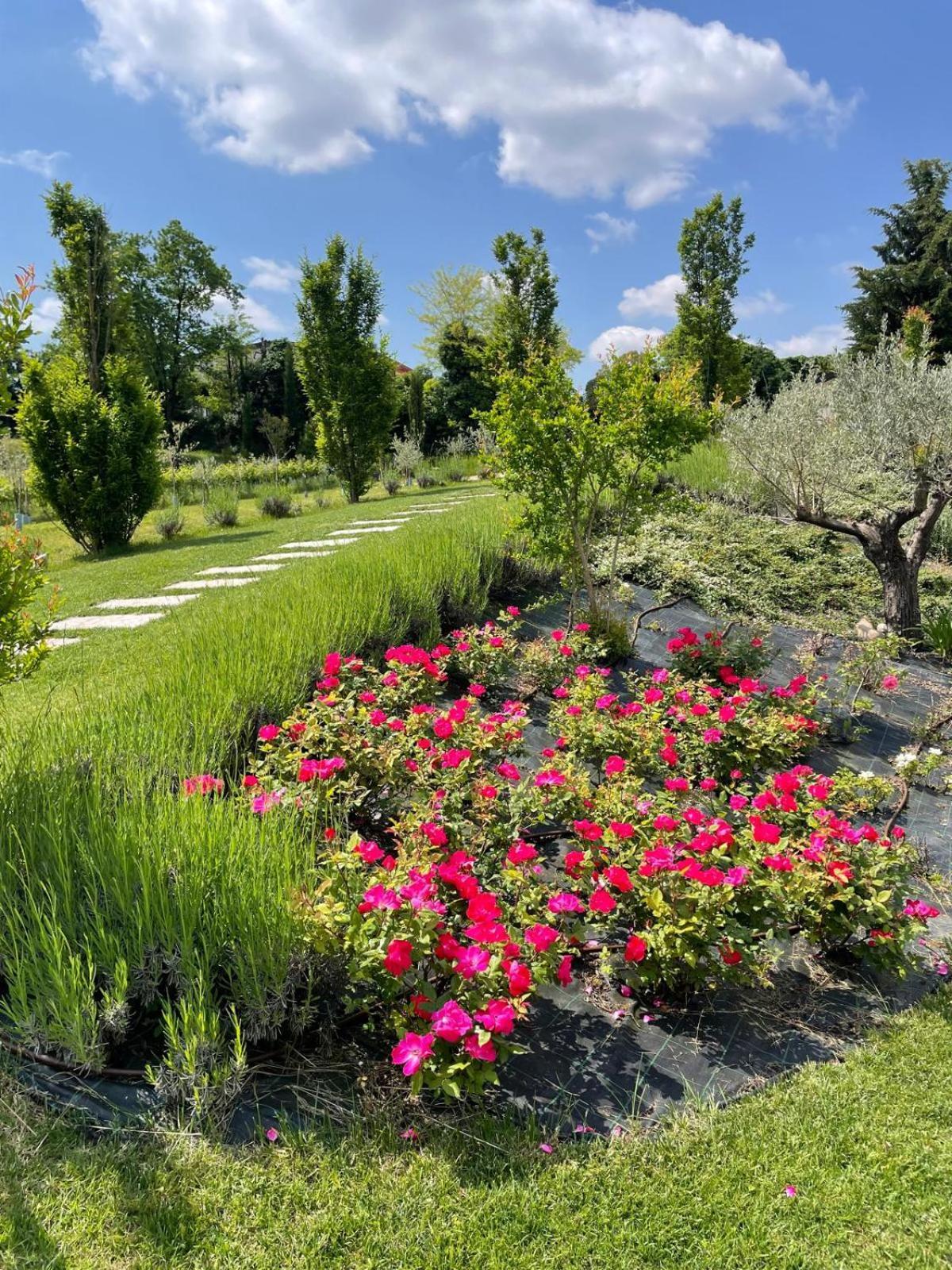 Relais Ca' Morenica Valeggio sul Mincio Exteriér fotografie