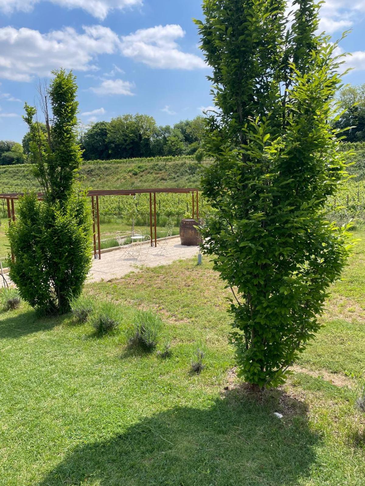 Relais Ca' Morenica Valeggio sul Mincio Exteriér fotografie